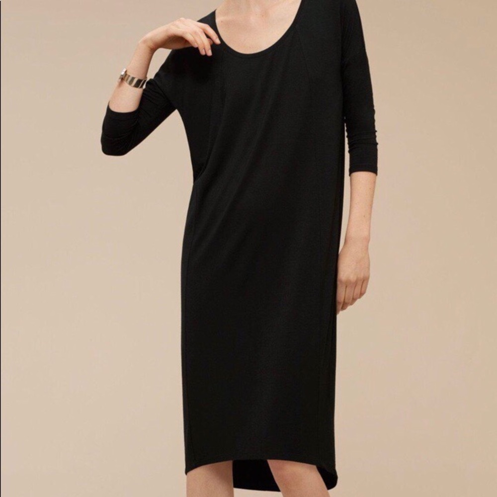 Aritzia Babaton Winston Dress